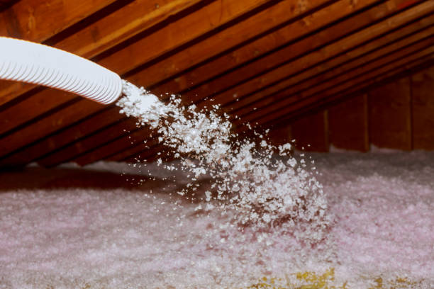 Best Insulation Removal Services  in Clayton, CA