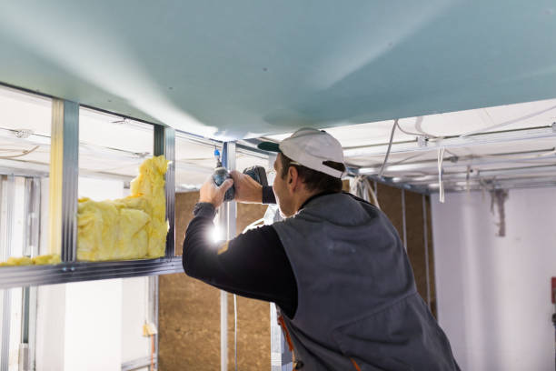 Best Wall Insulation Contractor  in Clayton, CA