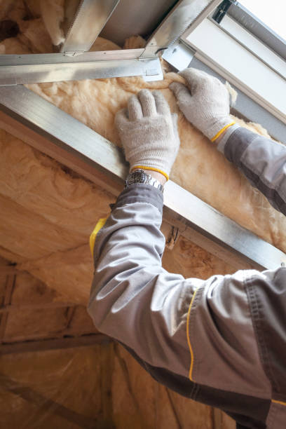 Best Wall Insulation Contractor  in Clayton, CA